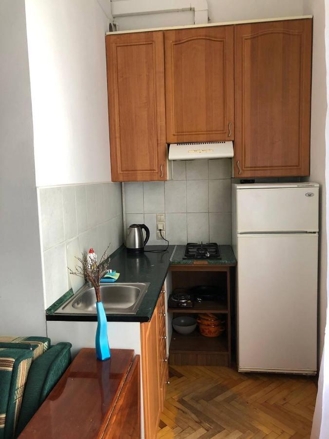 Apartment Karpintsa Lviv Eksteriør bilde